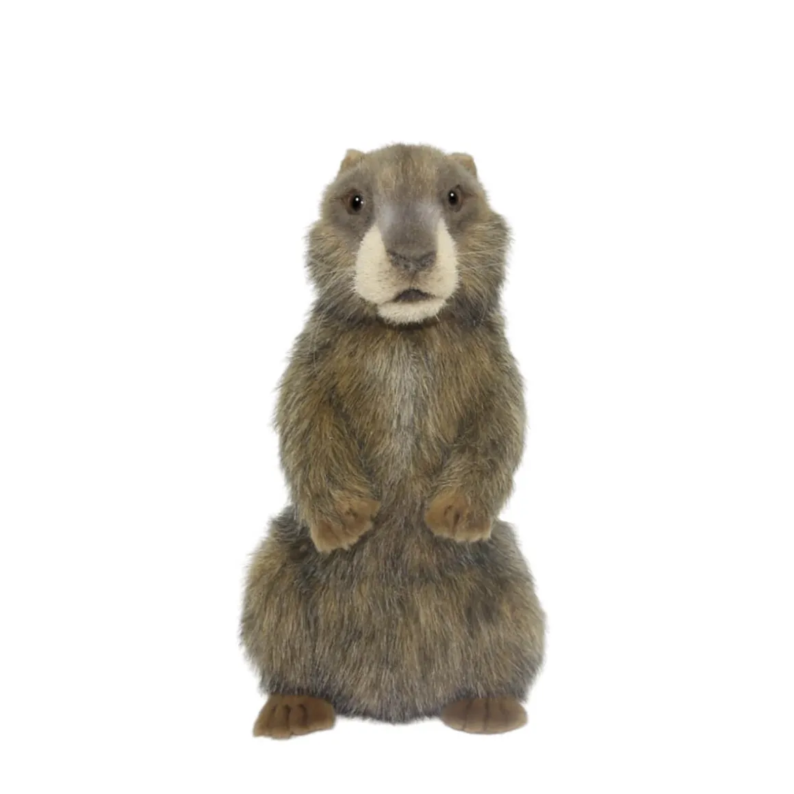 Alpine Marmot (29cm) by Hansa