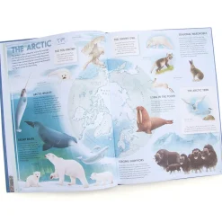 Amazing Animal Atlas by Nick Crumpton & Gaia Bordicchia (Signed Copy)