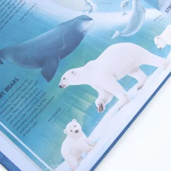 Amazing Animal Atlas by Nick Crumpton & Gaia Bordicchia (Signed Copy)
