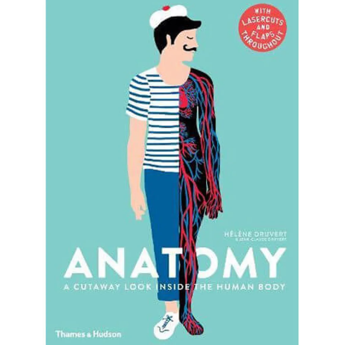 Anatomy: A Cutaway Look Inside the Human Body by Hélène Druvert & Jean-Claude Druvert