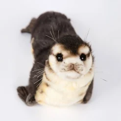 Baby Seal Monk (30cm) by Hansa