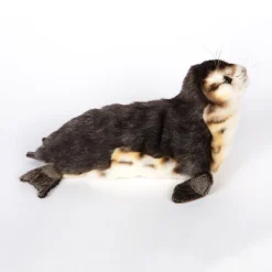 Baby Seal Monk (30cm) by Hansa