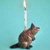 Beaver Ceramic Cake Topper by Camp Hollow
