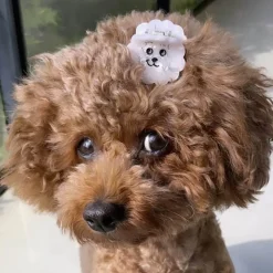 Bichon Mini Hair Claw by Coucou Suzette
