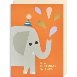Big Birthday Wishes Greetings Card by Ekaterina Trukan for Lagom Design