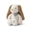 Binnie Dog Small Teddy in Sandy by Liewood