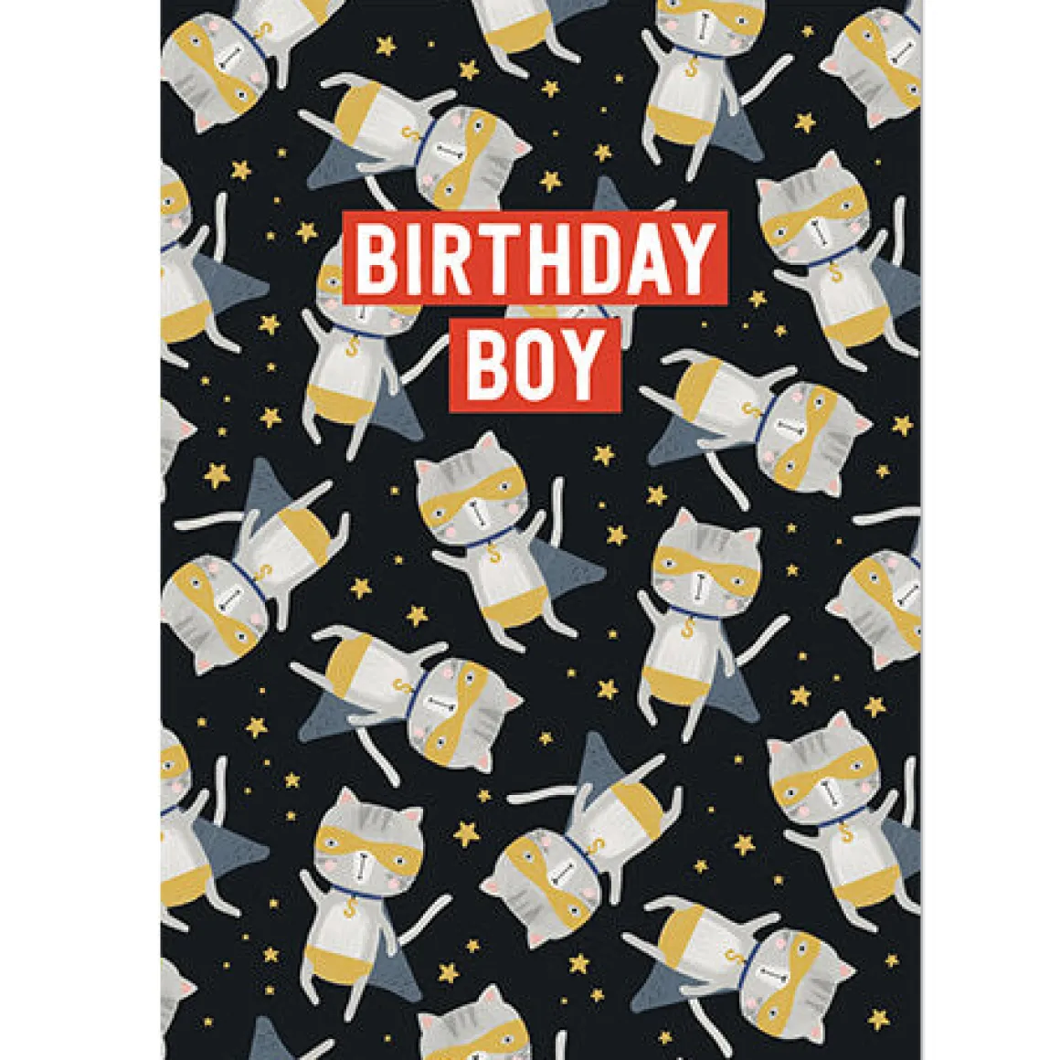 Birthday Boy Greetings Card by Mifkins