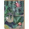 Birthday Sloth Greetings Card by Bex Parkin for Earlybird Designs