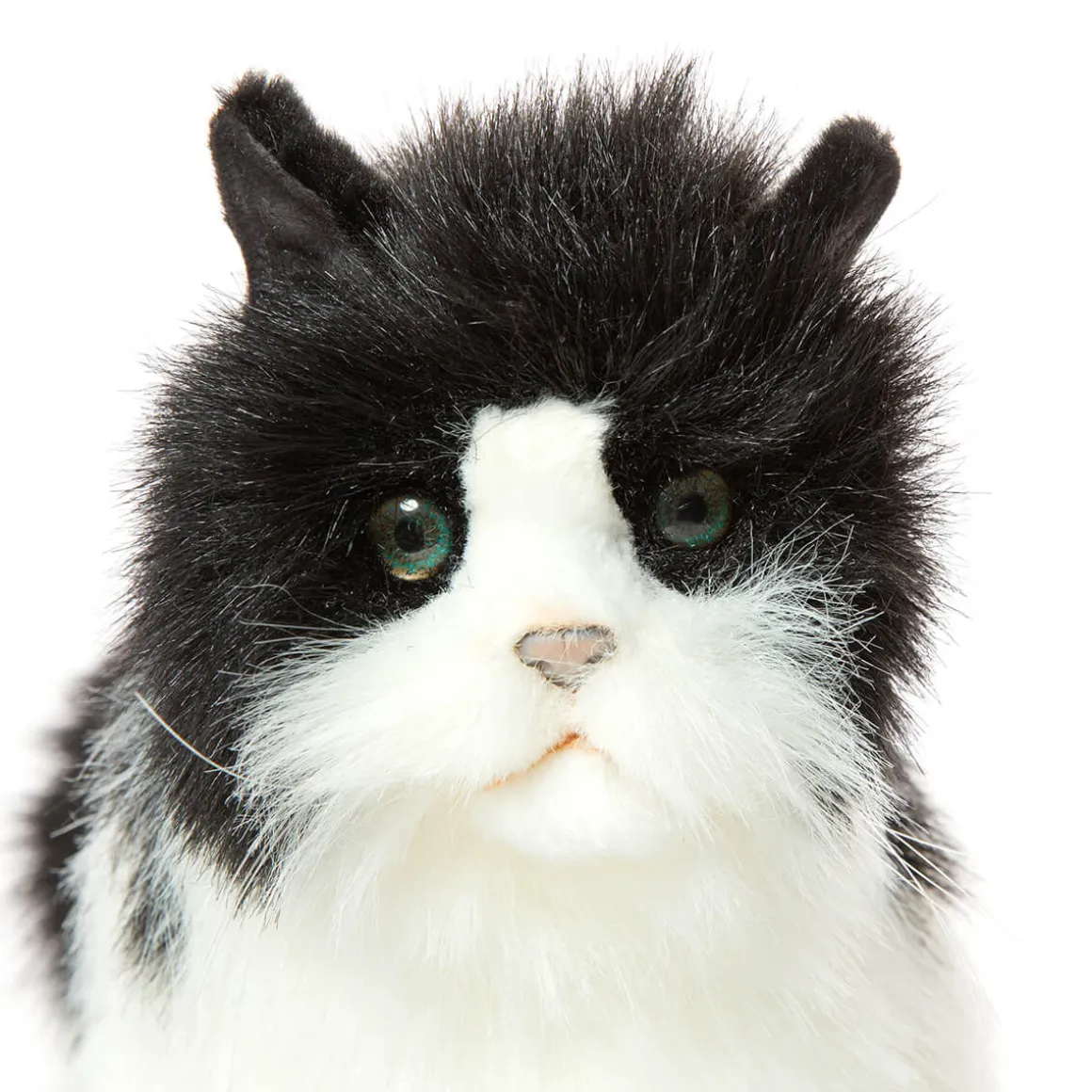 Black And White Cat (43cm) by Hansa
