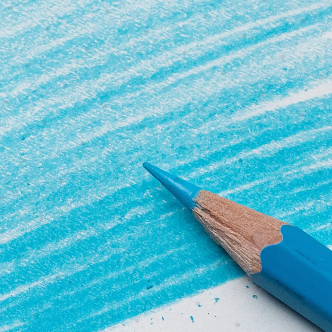 Blackwing Blue Coloured Pencil (Pack Of 4) by Blackwing