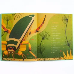 Bonkers About Beetles by Owen Davey