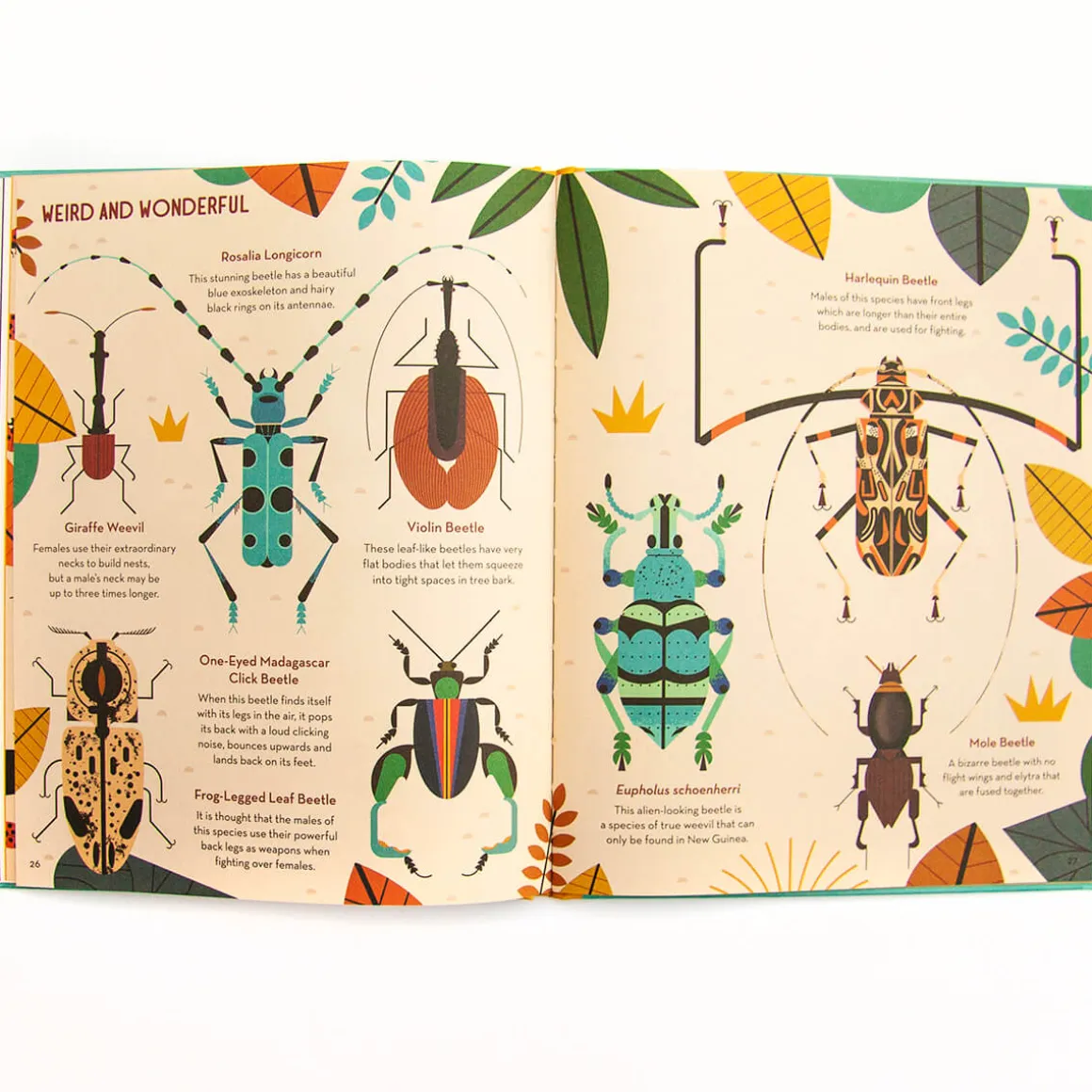 Bonkers About Beetles by Owen Davey