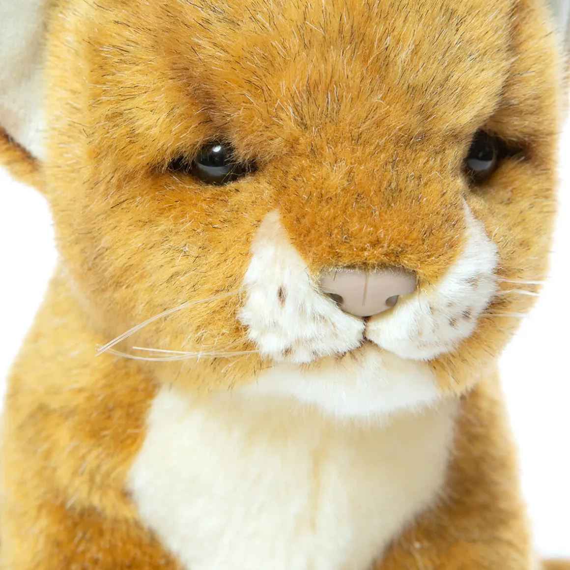 Brown Lion Cub (20cm) by Hansa
