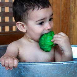 Brucy The Broccoli by Oli & Carol