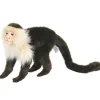 Capuchin Monkey (35cm) by Hansa
