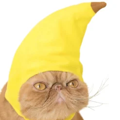 Cat Cap Fruit Blind Box by Kitan Club