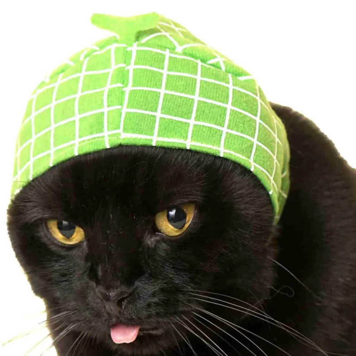 Cat Cap Fruit Blind Box by Kitan Club