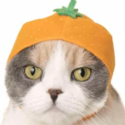 Cat Cap Fruit Blind Box by Kitan Club