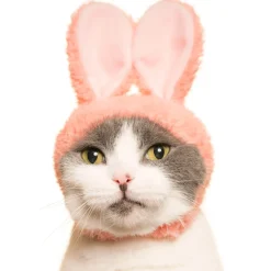 Cat Cap Rabbit Blind Box by Kitan Club
