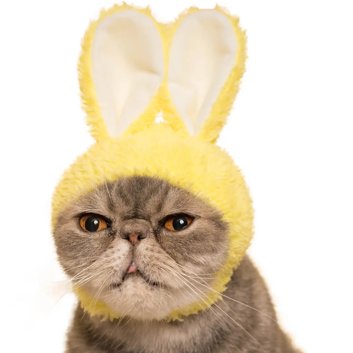 Cat Cap Rabbit Blind Box by Kitan Club