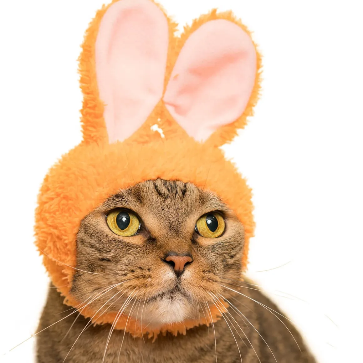 Cat Cap Rabbit Blind Box by Kitan Club