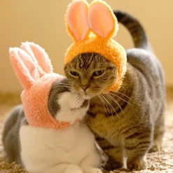 Cat Cap Rabbit Blind Box by Kitan Club