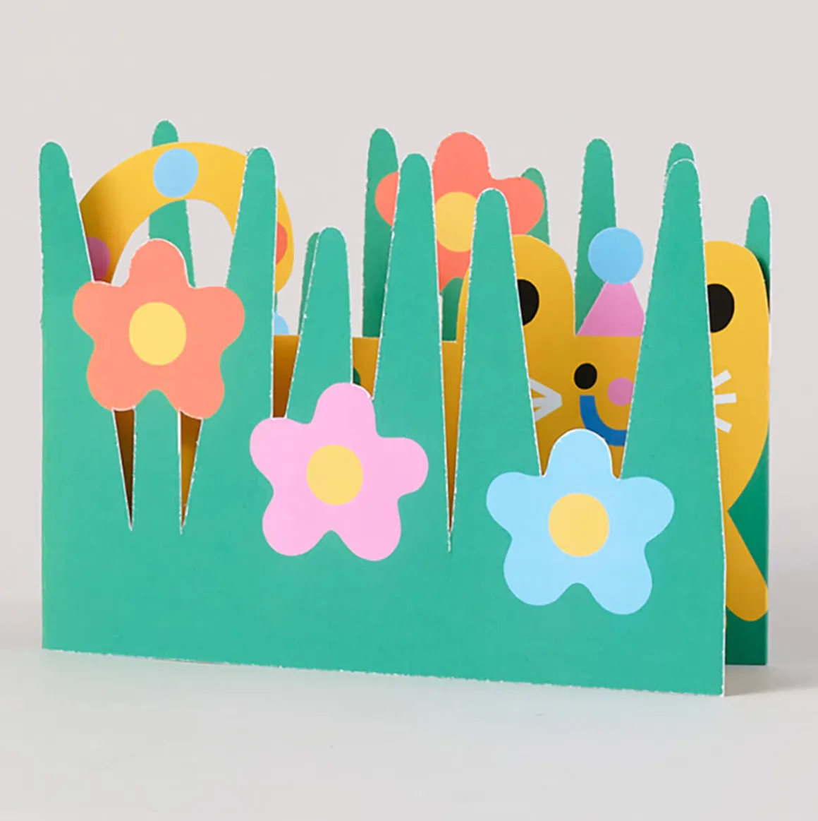 Cat Fold Out Birthday Greetings Card by Susie Hammer for Wrap