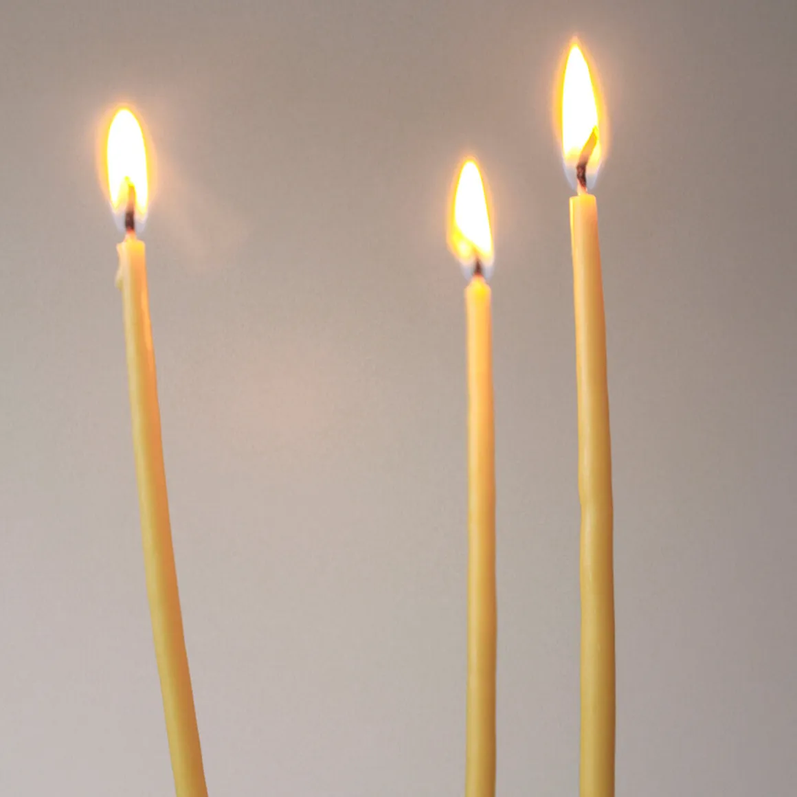 8 Celebration Extra Long Birthday Candles in Natural by Wax Atelier