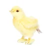 Chick (12cm) by Hansa