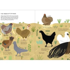 Chickenology: The Ultimate Encyclopedia by Barbara Sandri, Camilla Pintonato & Francesco Giubbilini