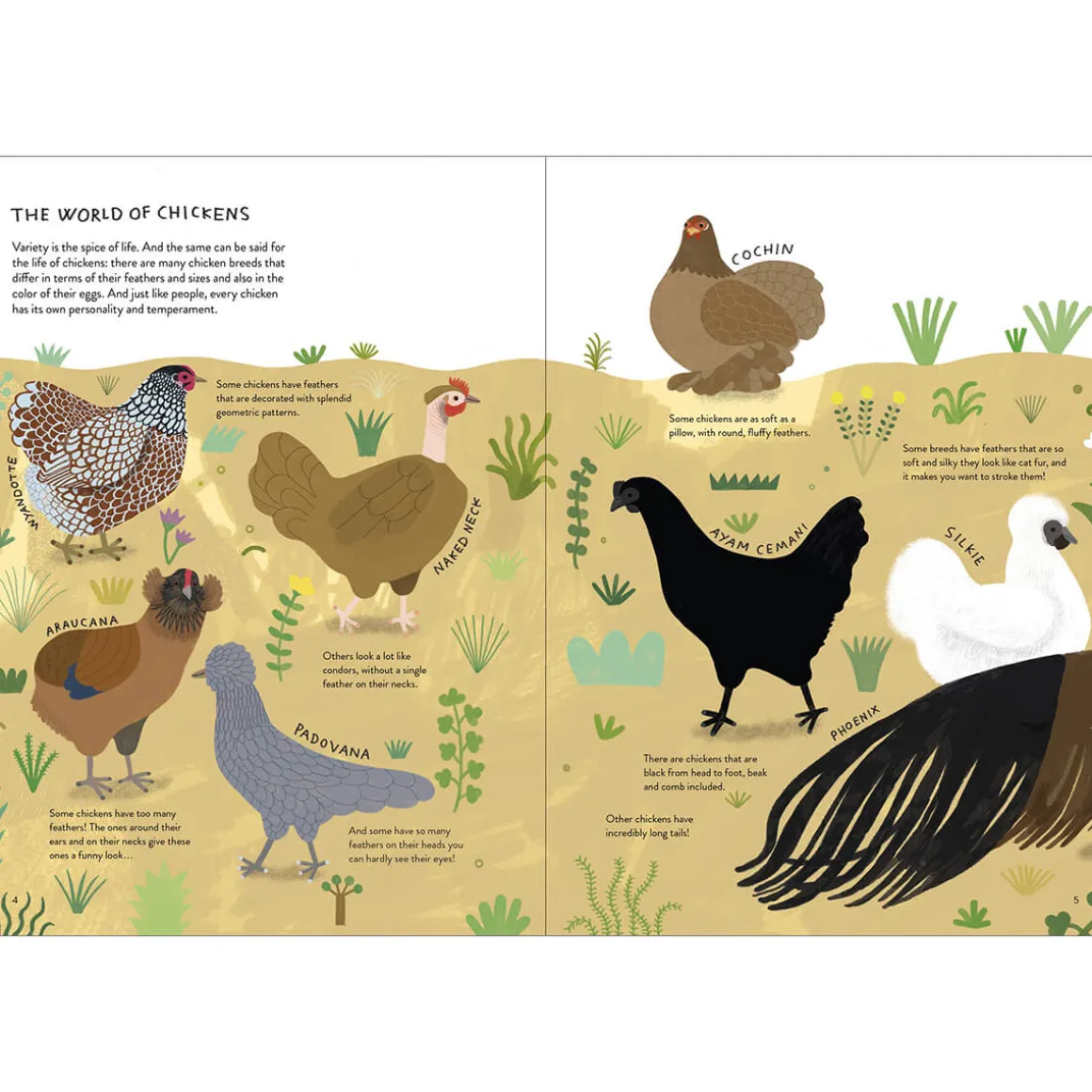 Chickenology: The Ultimate Encyclopedia by Barbara Sandri, Camilla Pintonato & Francesco Giubbilini