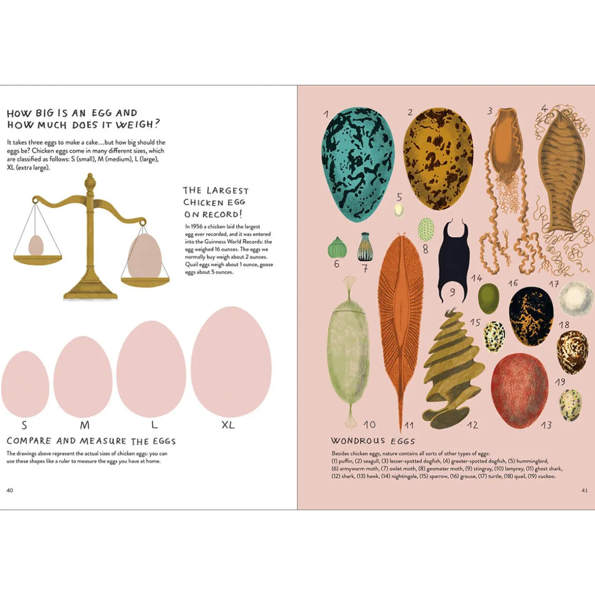 Chickenology: The Ultimate Encyclopedia by Barbara Sandri, Camilla Pintonato & Francesco Giubbilini