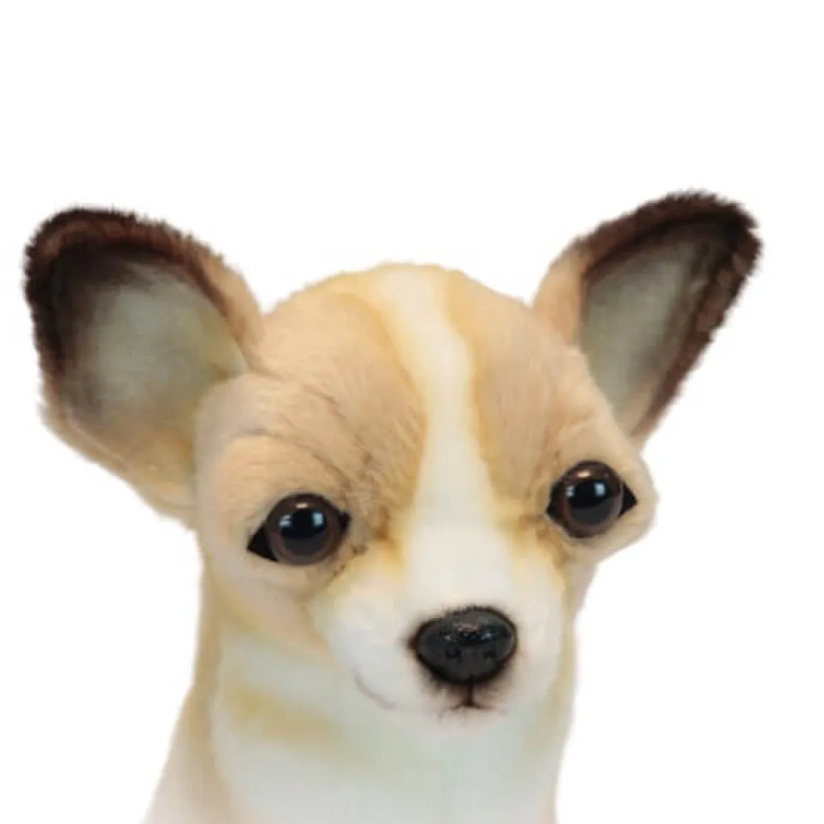 Chihuahua Sitting (31cm) by Hansa