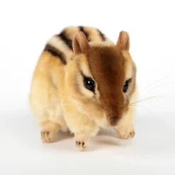 Chipmunk (25cm) by Hansa