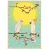 Cockatoo And Parakeet Greetings Card by Wildflower Cards