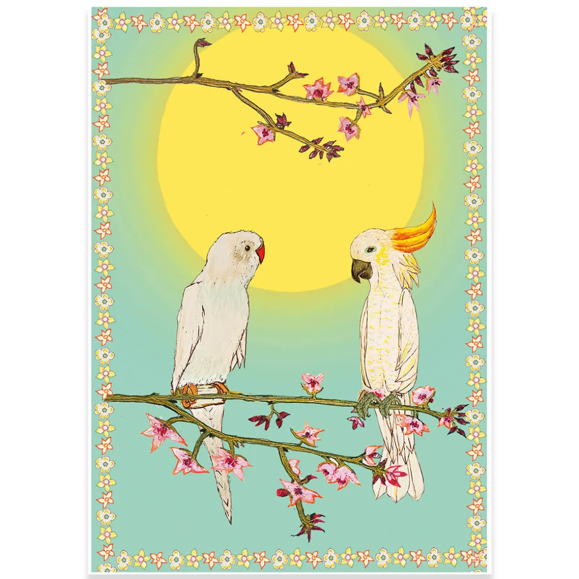 Cockatoo And Parakeet Greetings Card by Wildflower Cards