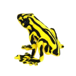 Corroboree Frog (25cm) by Hansa