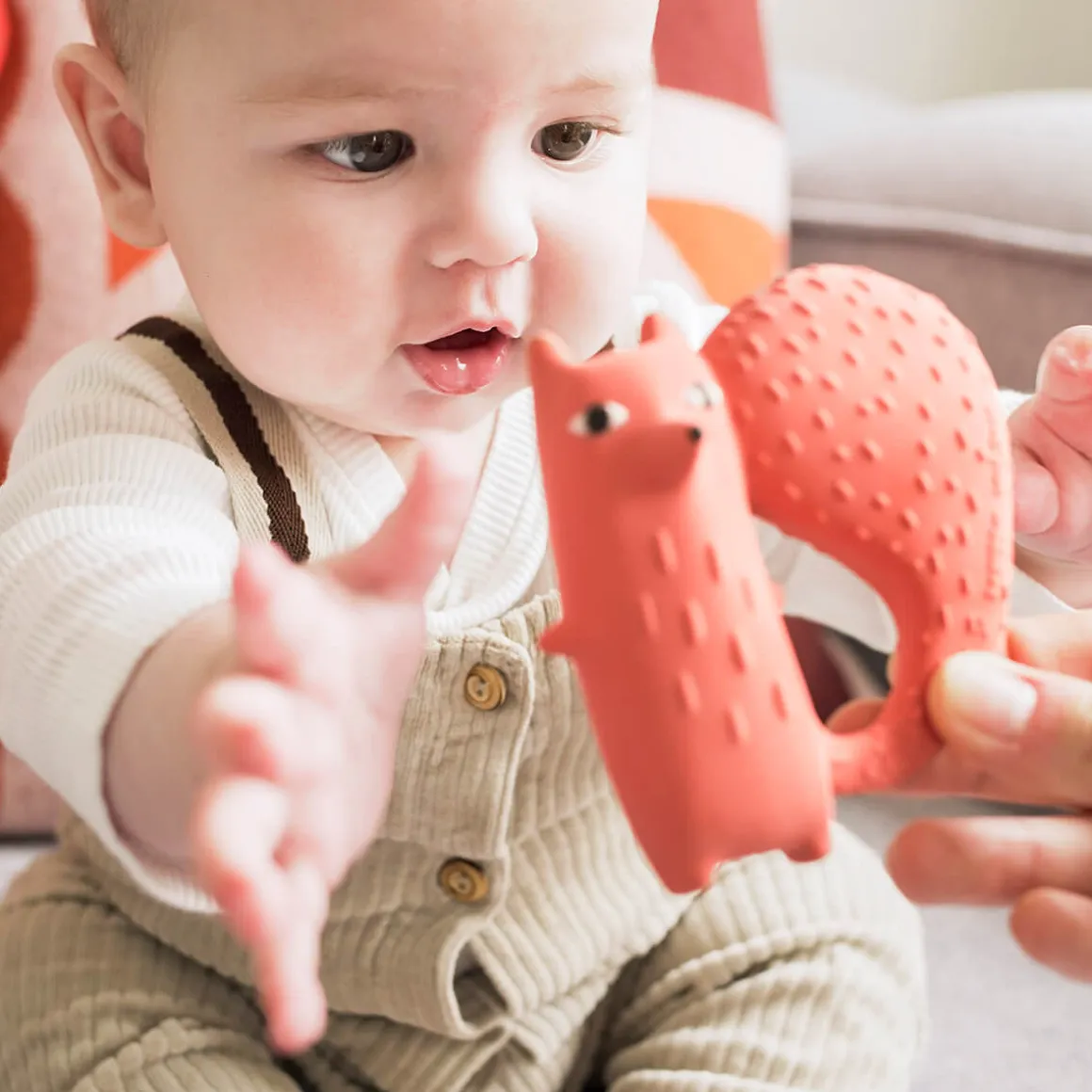 Cyril Squirrel Fox Teether by Oli & Carol x Donna Wilson
