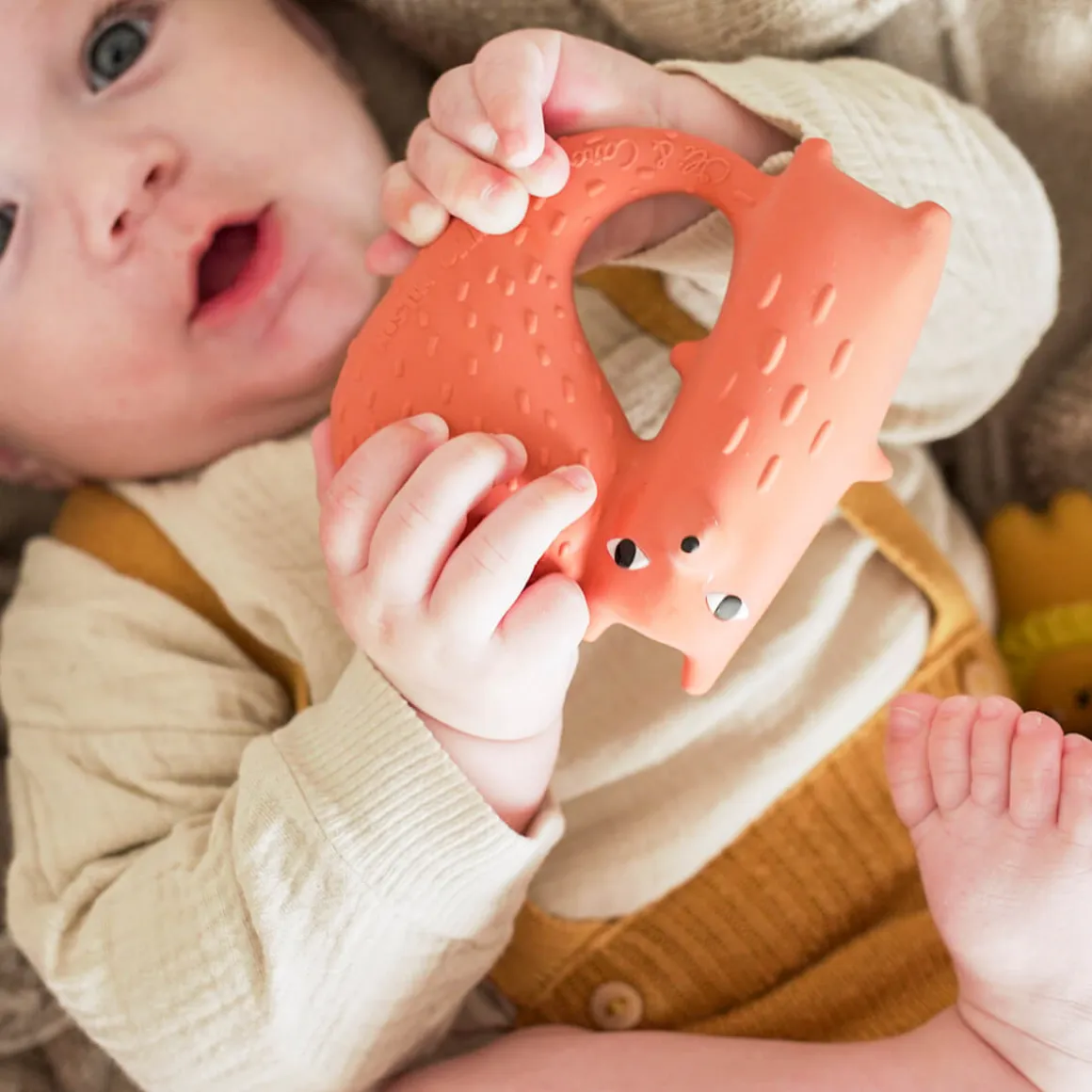 Cyril Squirrel Fox Teether by Oli & Carol x Donna Wilson