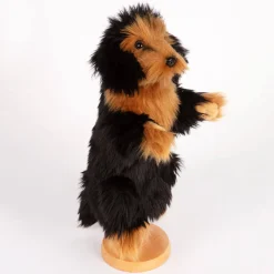 Dachshund Hand Puppet (35cm) by Hansa