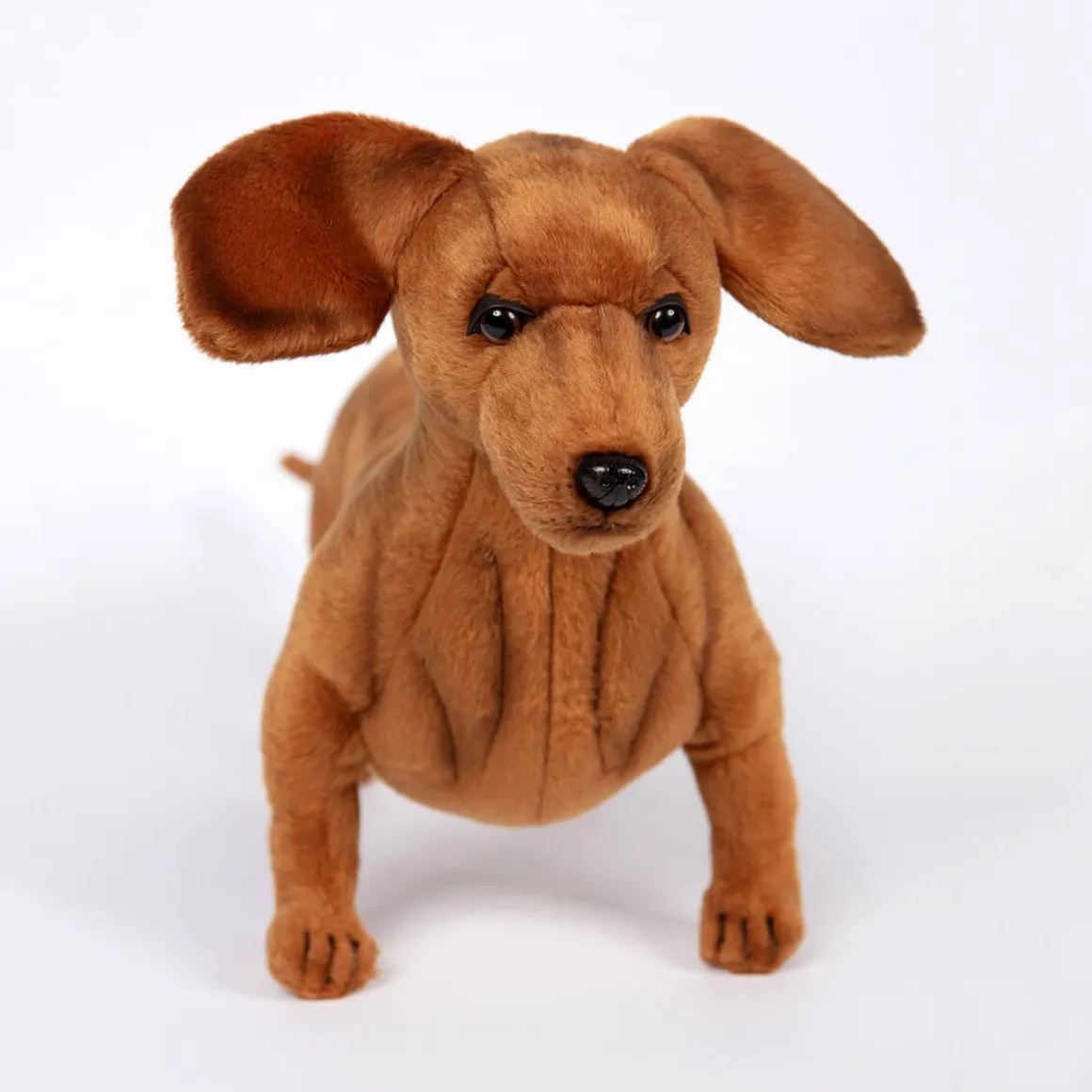 Dachshund Standing (42cm) by Hansa