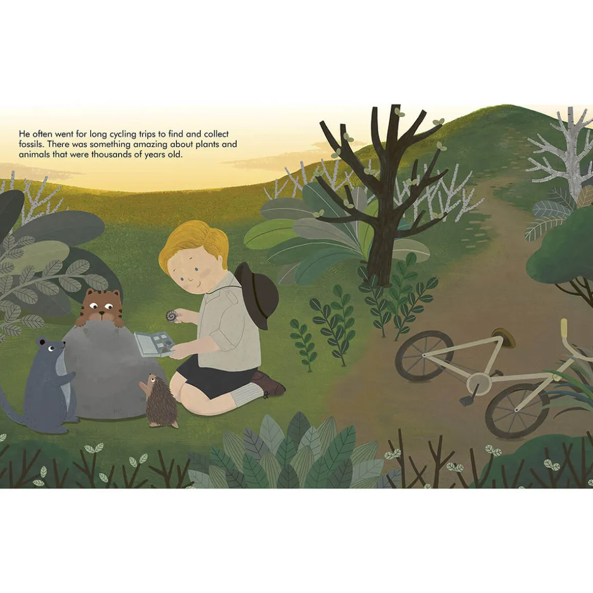 David Attenborough (Little People Big Dreams) by Maria Isabel Sanchez Vegara & Mikyo Noh