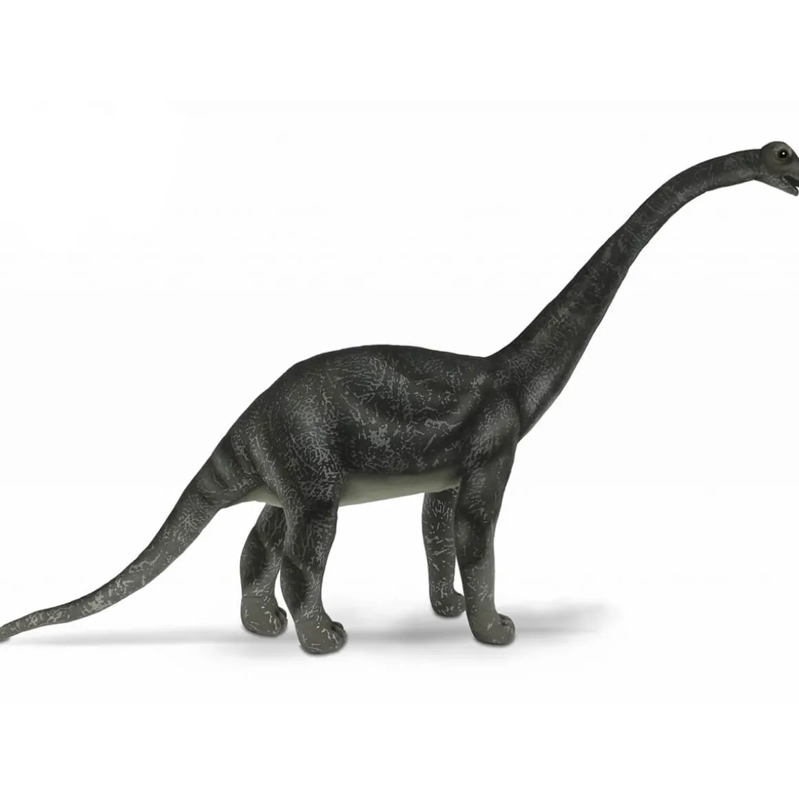 Diamantinasaurus Matildae (70cm) by Hansa