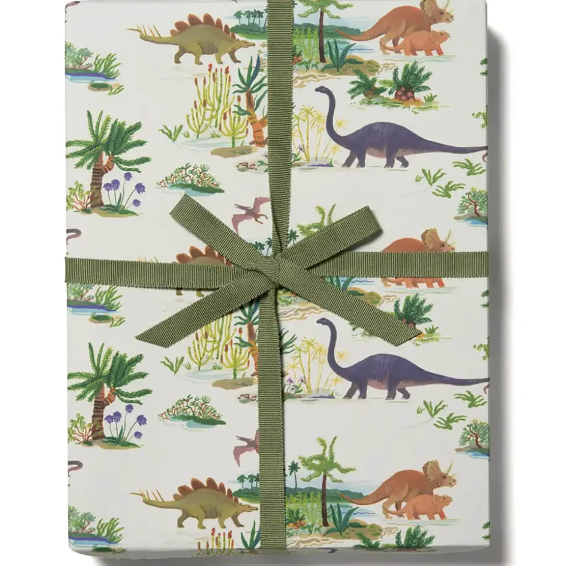 Dinosaurs Gift Wrap by Red Cap Cards