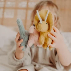 Dinosaurs Holdie Folk Set by Olli Ella