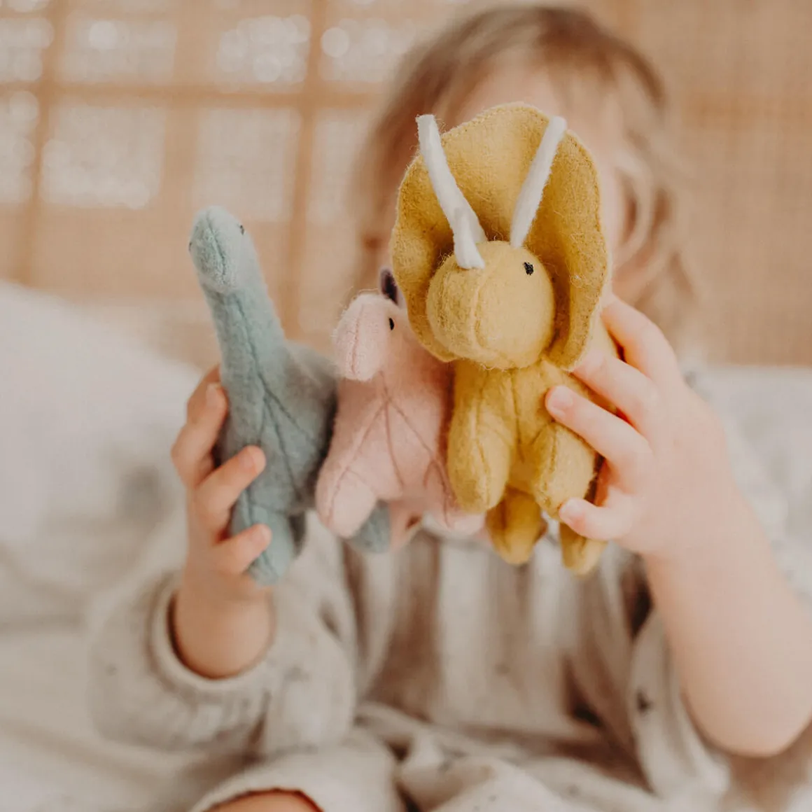 Dinosaurs Holdie Folk Set by Olli Ella