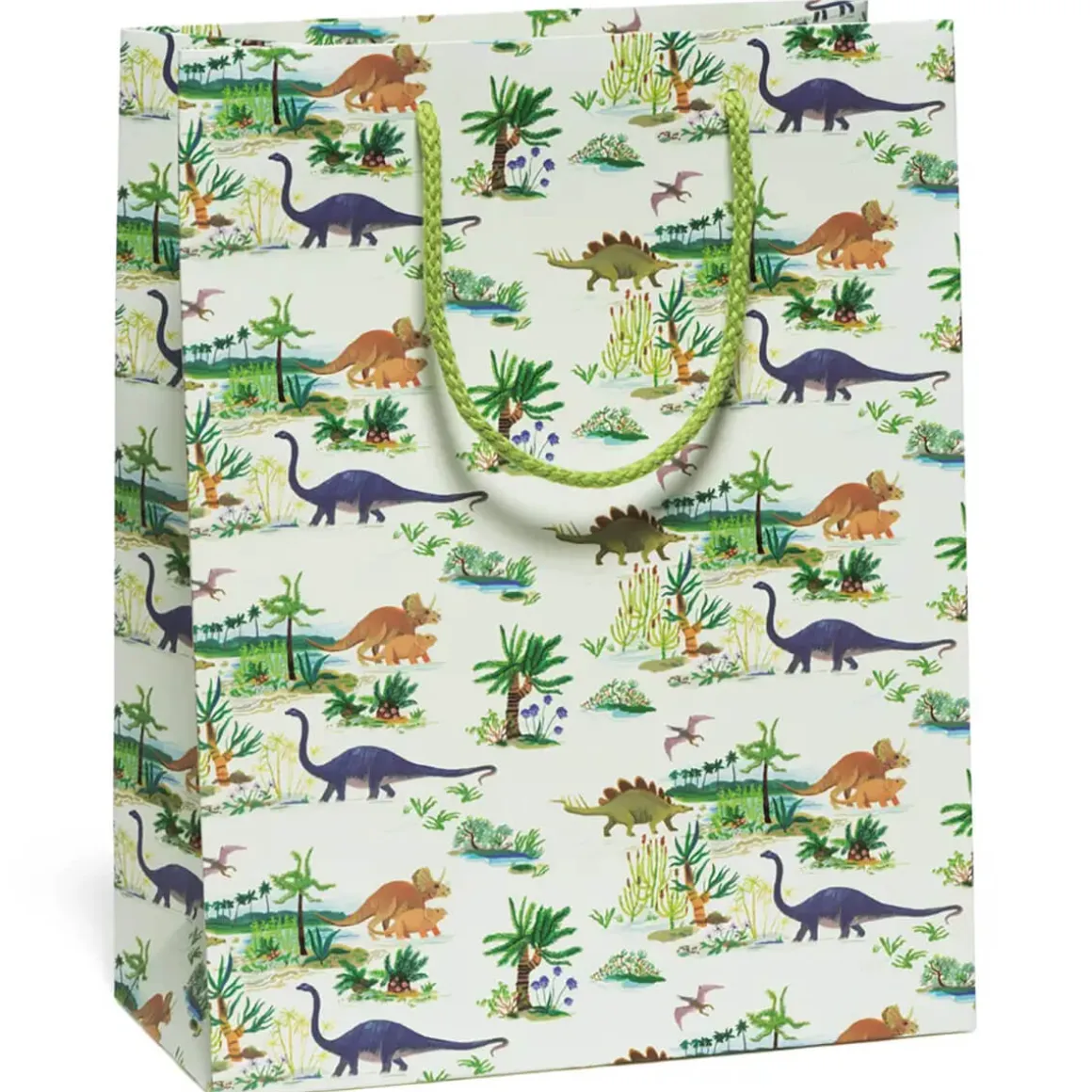 Dinosaurs Large Gift Bag By Red Cap Cards