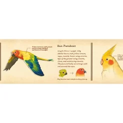 Encyclopedia Bird 30mm Ex Collection Washi Tape by MT Japan