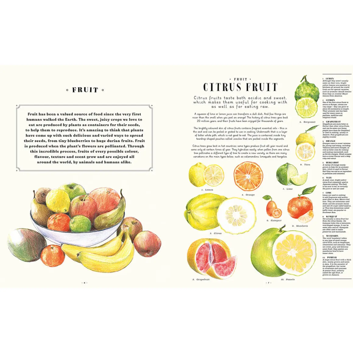 Feast Your Eyes on Food: A Food Encyclopaedia of More Than 1000 Things to Eat by Laura Gladwin and Zoe Barker
