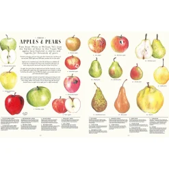 Feast Your Eyes on Food: A Food Encyclopaedia of More Than 1000 Things to Eat by Laura Gladwin and Zoe Barker